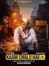 Kaam chalu hai (2024) Hindi Full Movie Watch Online Free TodayPK