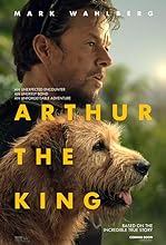 Arthur the King (2024) DVDscr Hindi Dubbed Movie Watch Online Free TodayPK