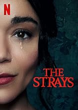 The Strays (2023) HDRip Hindi Dubbed Movie Watch Online Free TodayPK